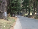 Downhill near Kalatti Ghat