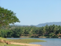 Sharavati River