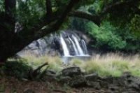 Kottiabbi Falls