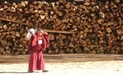 Tawang kid-monk